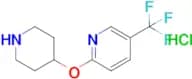 2-(Piperidin-4-yloxy)-5-(trifluoromethyl)pyridine hydrochloride