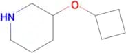 3-Cyclobutoxypiperidine