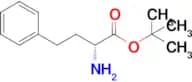 Tert-butyl (R)-2-amino-4-phenylbutanoate