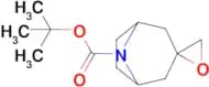 Tert-butyl 8-azaspiro[bicyclo[3.2.1]octane-3,2′-oxirane]-8-carboxylate