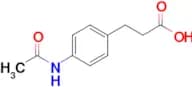 3-(4-Acetamidophenyl)propanoic acid