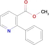 Methyl 2-phenylnicotinate