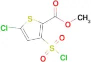 Methyl 5-chloro-3-(chlorosulfonyl)thiophene-2-carboxylate