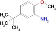 5-(tert-Butyl)-2-methoxyaniline