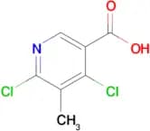 4,6-Dichloro-5-methylnicotinic acid