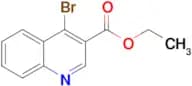Ethyl 4-bromoquinoline-3-carboxylate