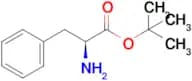 (S)-tert-Butyl 2-amino-3-phenylpropanoate