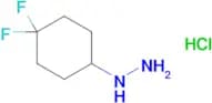 (4,4-Difluorocyclohexyl)hydrazine hydrochloride