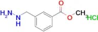 Methyl 3-(hydrazinylmethyl)benzoate hydrochloride