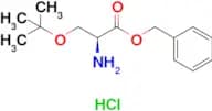 Benzyl O-(tert-butyl)-L-serinate hydrochloride