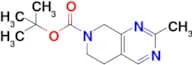 Tert-butyl 2-methyl-5,8-dihydropyrido[3,4-d]pyrimidine-7(6H)-carboxylate