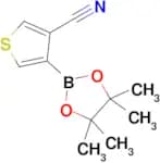 4-(4,4,5,5-Tetramethyl-1,3,2-dioxaborolan-2-yl)thiophene-3-carbonitrile
