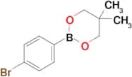 2-(4-Bromophenyl)-5,5-dimethyl-1,3,2-dioxaborinane