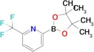 2-(4,4,5,5-Tetramethyl-1,3,2-dioxaborolan-2-yl)-6-(trifluoromethyl)pyridine