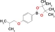 2-(4-Isobutoxyphenyl)-4,4,5,5-tetramethyl-1,3,2-dioxaborolane