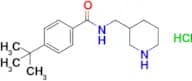 4-tert-Butyl-N-[(piperidin-3-yl)methyl]benzamide hydrochloride