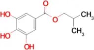 Isobutyl 3,4,5-trihydroxybenzoate