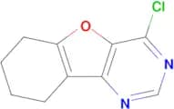 4-Chloro-6,7,8,9-tetrahydrobenzofuro[3,2-d]pyrimidine