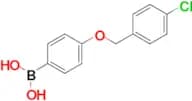 (4-((4-Chlorobenzyl)oxy)phenyl)boronic acid