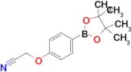 2-(4-(4,4,5,5-Tetramethyl-1,3,2-dioxaborolan-2-yl)phenoxy)acetonitrile