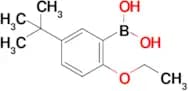 (5-(Tert-butyl)-2-ethoxyphenyl)boronic acid