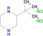 2-(tert-Butyl)piperazine dihydrochloride