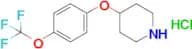 4-(4-(Trifluoromethoxy)phenoxy)piperidine hydrochloride
