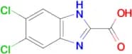 5,6-Dichloro-1H-benzimidazole-2-carboxylic acid