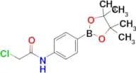 2-Chloro-n-(4-(4,4,5,5-tetramethyl-1,3,2-dioxaborolan-2-yl)phenyl)acetamide