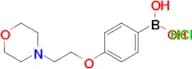 (4-(2-Morpholinoethoxy)phenyl)boronic acid hydrochloride