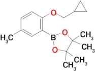 2-(2-(Cyclopropylmethoxy)-5-methylphenyl)-4,4,5,5-tetramethyl-1,3,2-dioxaborolane