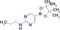 2-Propylaminopyrimidine-5-boronic acid pinacol ester