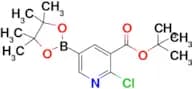tert-Butyl 2-chloro-5-(4,4,5,5-tetramethyl-1,3,2-dioxaborolan-2-yl)nicotinate