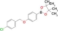 2-[4-(4-Chloro-benzyloxy)-phenyl]-4,4,5,5-tetramethyl-[1,3,2]dioxaborolane
