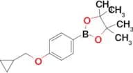 2-[4-(Cyclopropylmethoxy)phenyl]-4,4,5,5-tetramethyl-1,3,2-dioxaborolane