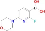 [2-Fluoro-6-(morpholin-4-yl)pyridin-3-yl]boronic acid