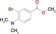 Methyl 3-bromo-4-(dimethylamino)benzoate