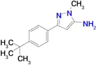 3-(4-(Tert-butyl)phenyl)-1-methyl-1h-pyrazol-5-amine