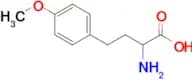 2-Amino-4-(4-methoxyphenyl)butanoic acid