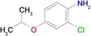 2-Chloro-4-(propan-2-yloxy)aniline