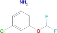 3-Chloro-5-(difluoromethoxy)aniline