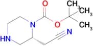(R)-tert-Butyl 2-(cyanomethyl)piperazine-1-carboxylate