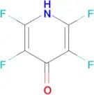 2,3,5,6-tetrafluoro-1,4-dihydropyridin-4-one