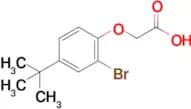 2-(2-Bromo-4-(tert-butyl)phenoxy)acetic acid