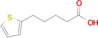 5-(Thiophen-2-yl)pentanoic acid