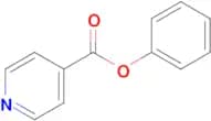 Phenyl isonicotinate