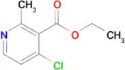 Ethyl 4-chloro-2-methylnicotinate