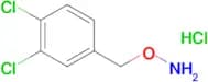 O-(3,4-dichlorobenzyl)hydroxylamine hydrochloride