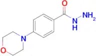 4-Morpholinobenzohydrazide