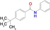 4-(Tert-butyl)-N-phenylbenzamide